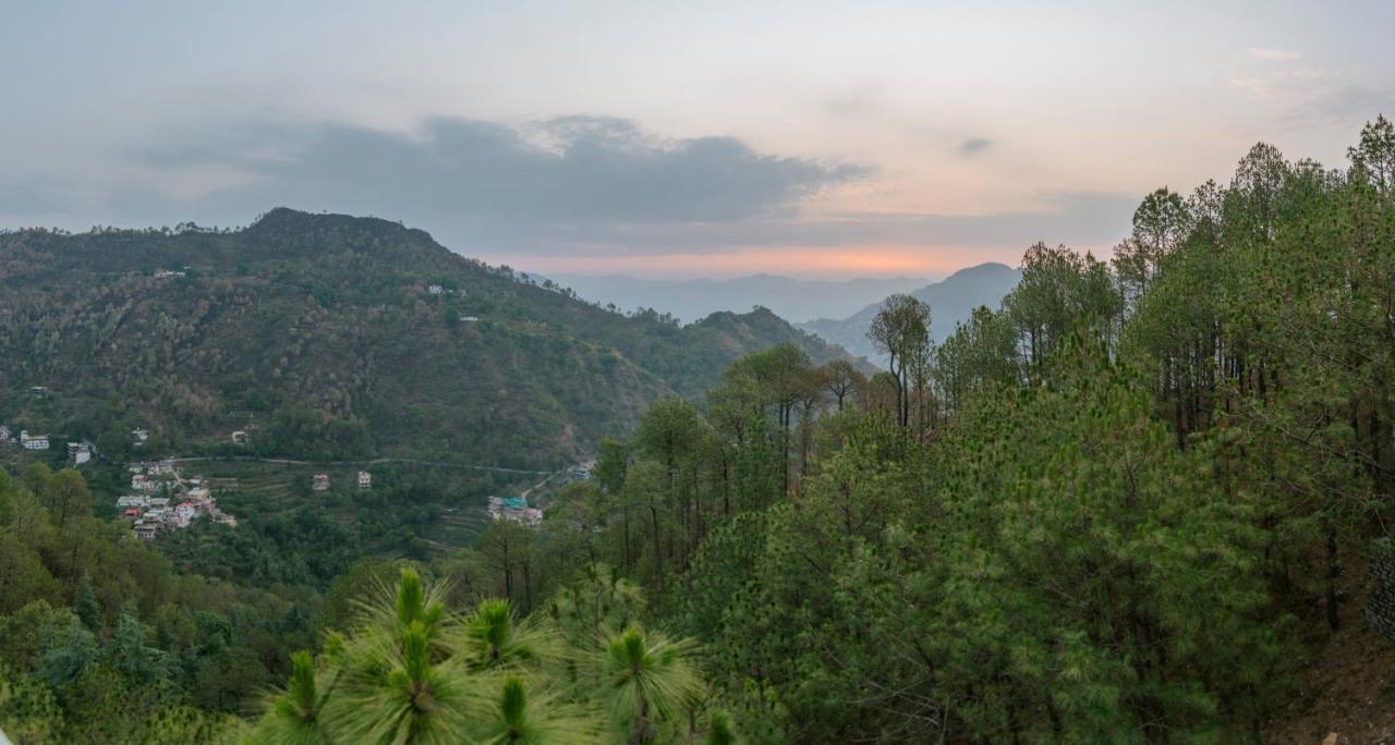 Hillcrest Heights Bed & Breakfast Kasauli Exterior photo